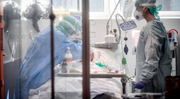 Cerquita: La nueva variante brasileña del Covid-19 está en Lima y Huánuco