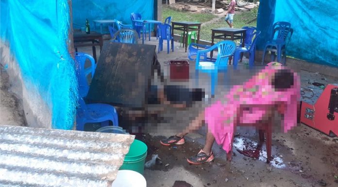 Familia pierde a cinco miembros en asesinato terrorista en Vizcatán del Ene