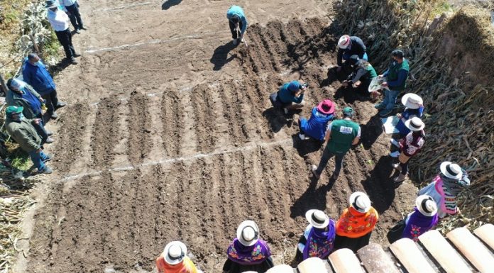 Más de 500 familias de Jauja son beneficiarios en la instalación de huertos