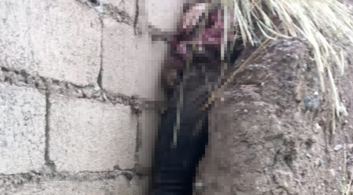 Menor de 13 años reportada como desaparecida es hallada sin vida