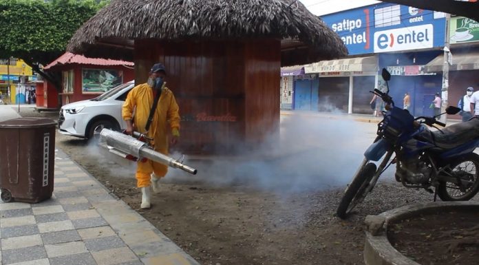 Alerta por aumento de casos de dengue en siete distritos de Junín