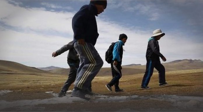 16 distritos de Junín declarados en emergencia por heladas
