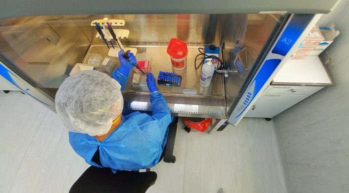 63 mil muestras moleculares procesó laboratorio regional de salud