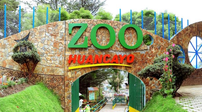 Diez animales mueren en zoológico de Huancayo en lo que va del año