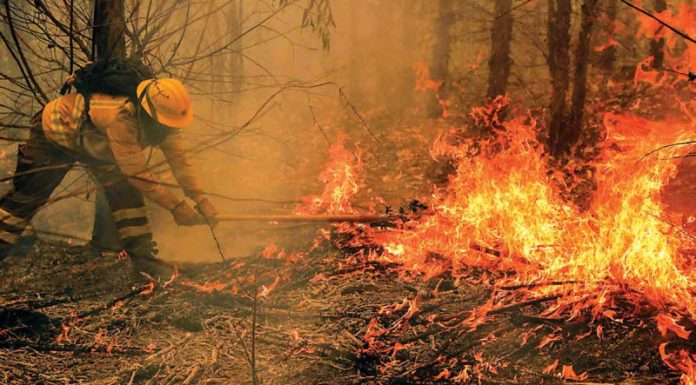 Chile: Más de 90 incendios forestales arrasa viviendas y deja 24 muertos
