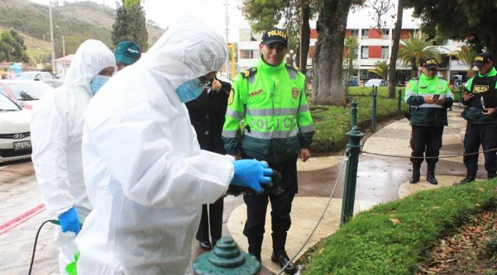 25 palomas mueren en plaza de Concepción por posible gripe aviar