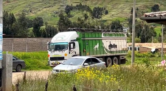 Niña muere atropellada por camión en Jauja