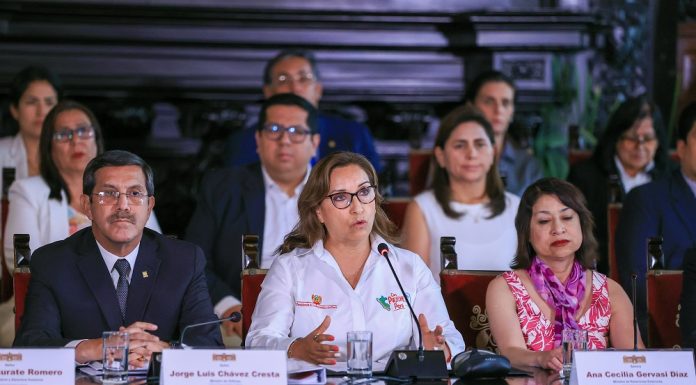 Boluarte: «Estado respeta compromisos internacionales en materia de DDHH»