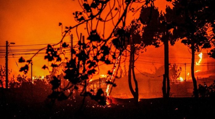 Chile: 112 fallecidos por incendios forestales