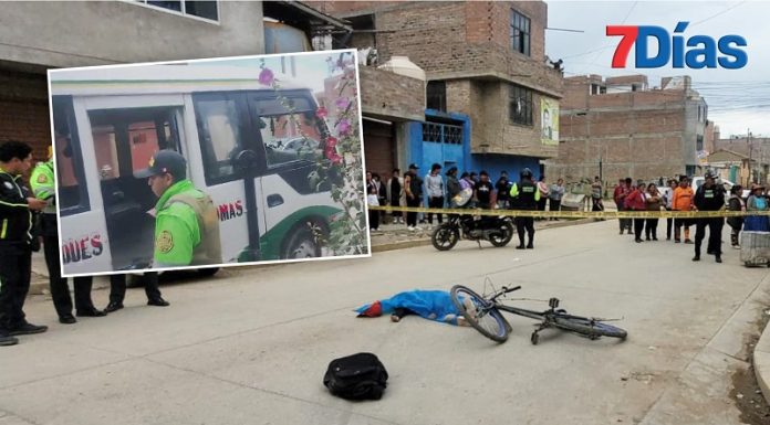 Escolar que huía de unos perros muere atropellado por una coaster