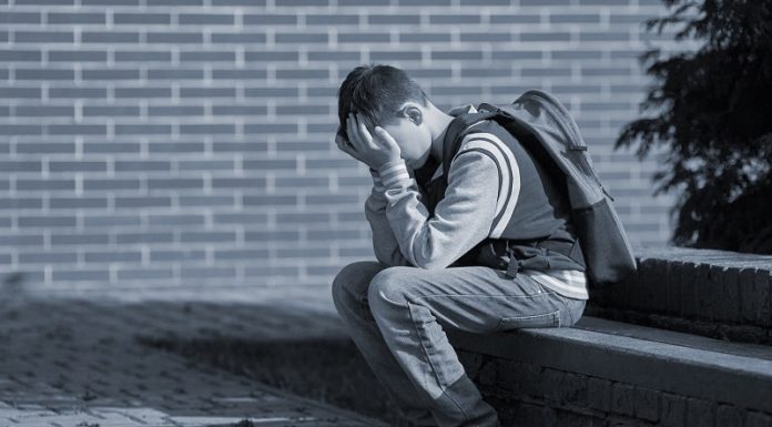 Cien casos de bullying en lo que va del año escolar en Junín