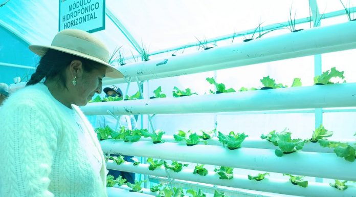 Productores de papa nativa se dan una vueltita por el INIA para mejorar su producción
