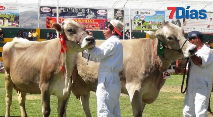 Yauris 2024 arranca con pasacalle y exposición de autos clásicos