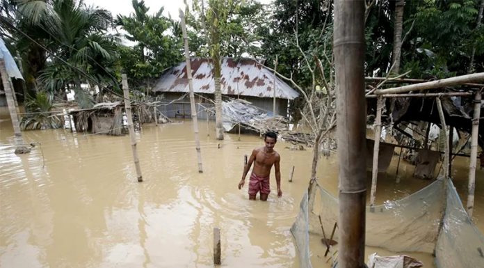 Fuertes lluvias en la India provocan invasión de cocodrilos