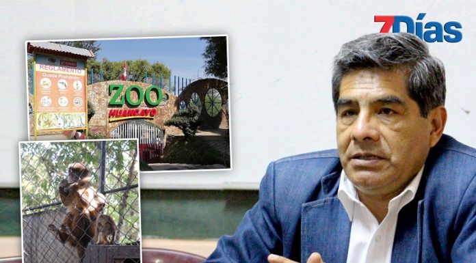 Dimas Aliaga: «Cerrar el zoológico sería muestra de la incapacidad de esta gestión municipal»