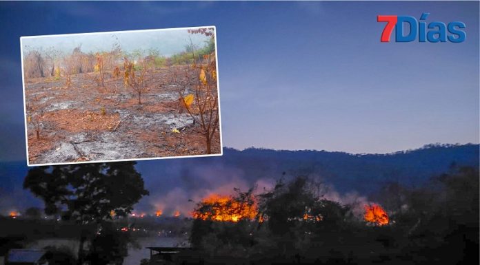 Incendio se reactiva y consume 120 hectáreas de bosques en comunidad de Tsiquireni