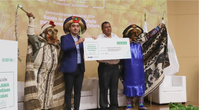 4 comunidades de Junín son seleccionadas en Programa de Incentivos Forestales