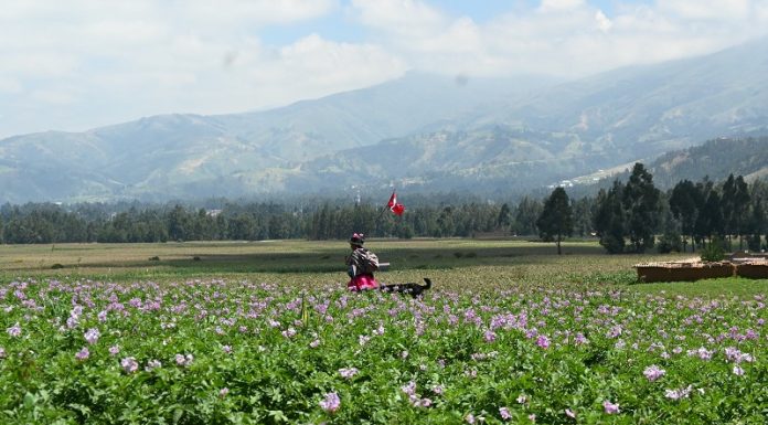 Agricultores agrupados presentan propuesta de ley a favor de semillas nativas
