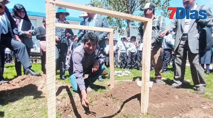Por Día de la Tierra plantan un árbol de la Quina, el único en el Valle del Mantaro