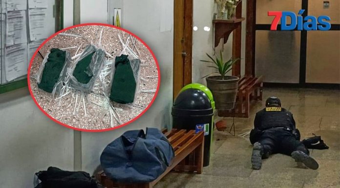 Inofensiva esponja causa pánico en municipalidad de Huancayo