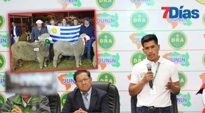 Feria de Yauris 2025 traerá a productores de ovino corriedale de Uruguay