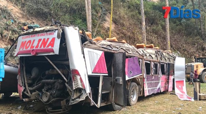 15 muertos y 27 heridos deja volcadura de bus de Molina en Tarma