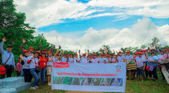 Caja Huancayo reforesta más de 14 hectáreas en la Amazonía de Loreto