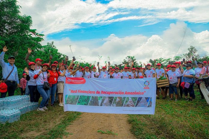 Caja Huancayo reforesta más de 14 hectáreas en la Amazonía de Loreto