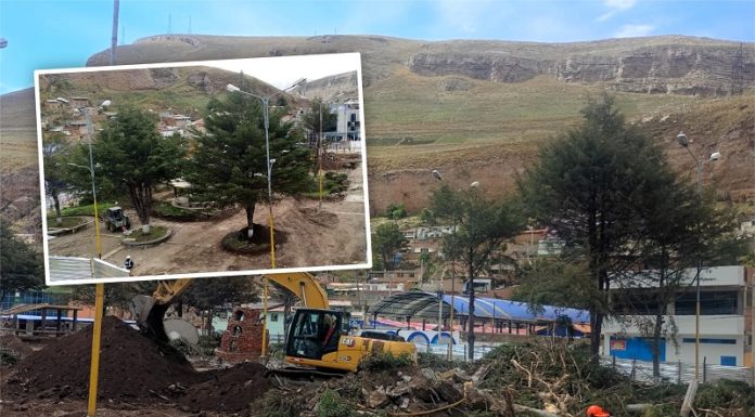 Santa rosa de Sacco: Talan árboles de 40 años de un parque para construir otro