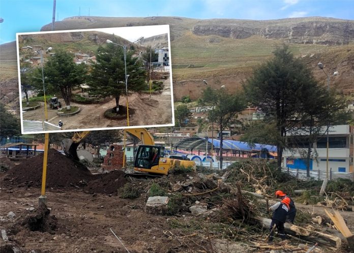 Santa rosa de Sacco: Talan árboles de 40 años de un parque para construir otro