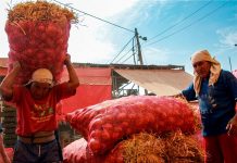 Junín registró una tasa de informalidad laboral de 76.8% en el 2025