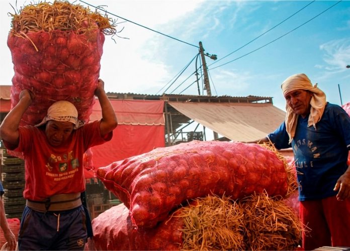 Junín registró una tasa de informalidad laboral de 76.8% en el 2025
