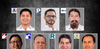 ¿A qué se dedican los candidatos al Gobierno Regional de Junín?
