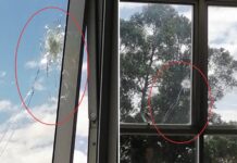 Bala impacta ventana del hospital Daniel Alcides Carrión y genera alarma