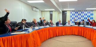 Por unanimidad Consejo Regional aprueba, ahora sí, ordenanza para proteger cabeceras de cuencas