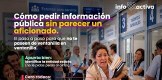 Acceso a la información pública: Una herramienta para conocer las decisiones de las entidades locales