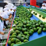 Junín reportó más de 254 mil Mypes en 2025, pero es 1.4% menos que el 2024
