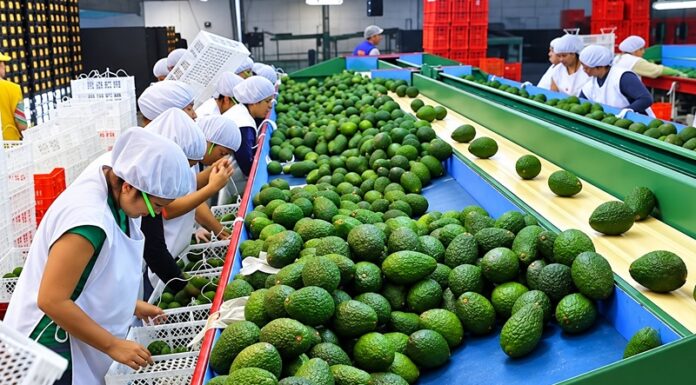 Junín reportó más de 254 mil Mypes en 2025, pero es 1.4% menos que el 2024