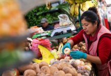 Campaña Navideña: ¿Cómo abastecer los negocios ante el alza de precios en Junín?