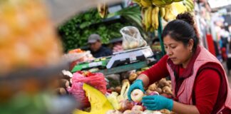 Campaña Navideña: ¿Cómo abastecer los negocios ante el alza de precios en Junín?